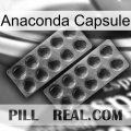 Anaconda Capsule 31